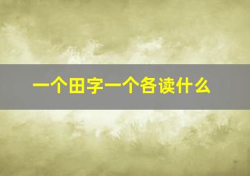 一个田字一个各读什么