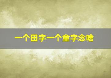 一个田字一个童字念啥