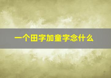 一个田字加童字念什么