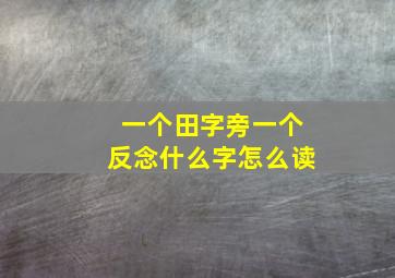 一个田字旁一个反念什么字怎么读