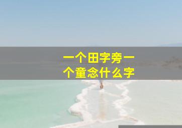 一个田字旁一个童念什么字