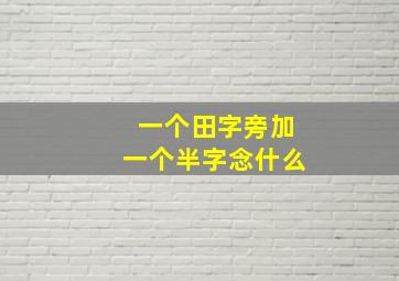 一个田字旁加一个半字念什么