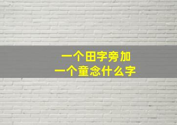 一个田字旁加一个童念什么字