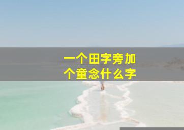 一个田字旁加个童念什么字