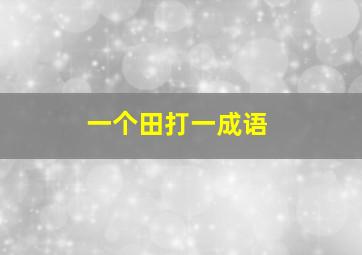 一个田打一成语