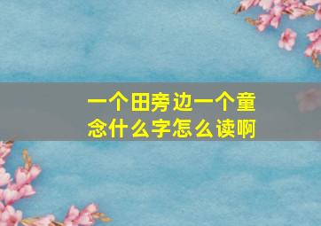 一个田旁边一个童念什么字怎么读啊