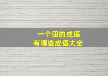 一个田的成语有哪些成语大全