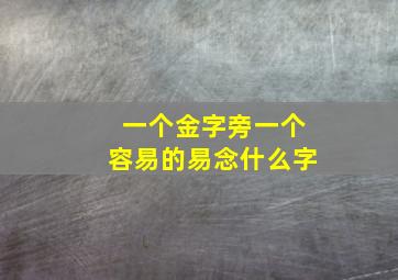 一个金字旁一个容易的易念什么字