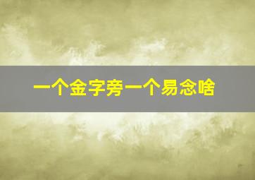 一个金字旁一个易念啥