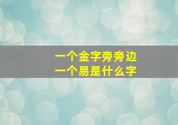 一个金字旁旁边一个易是什么字