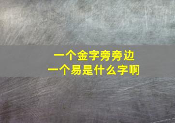 一个金字旁旁边一个易是什么字啊