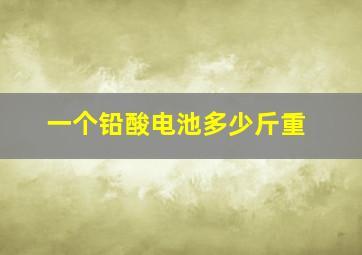 一个铅酸电池多少斤重