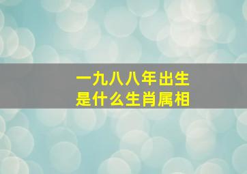 一九八八年出生是什么生肖属相