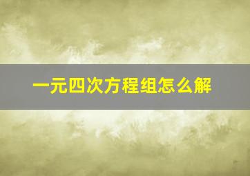 一元四次方程组怎么解