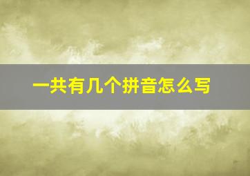 一共有几个拼音怎么写