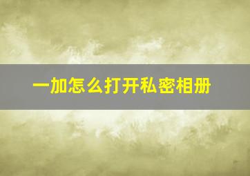 一加怎么打开私密相册