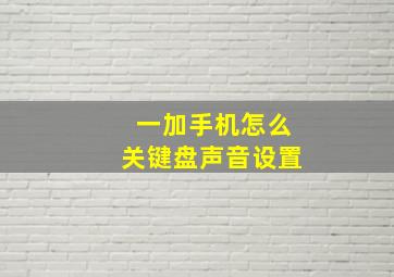 一加手机怎么关键盘声音设置