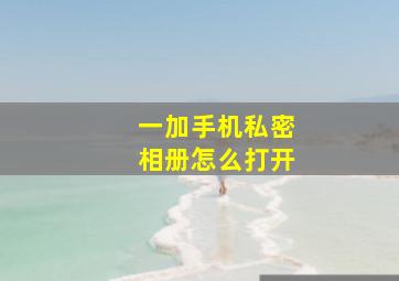 一加手机私密相册怎么打开