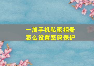 一加手机私密相册怎么设置密码保护