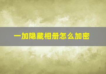 一加隐藏相册怎么加密