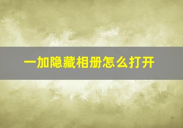 一加隐藏相册怎么打开