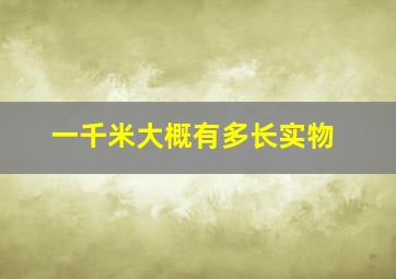 一千米大概有多长实物