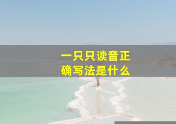 一只只读音正确写法是什么