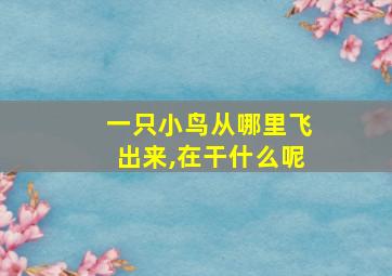 一只小鸟从哪里飞出来,在干什么呢