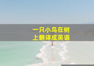 一只小鸟在树上翻译成英语