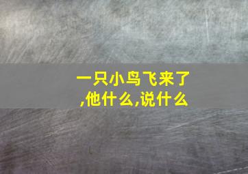 一只小鸟飞来了,他什么,说什么