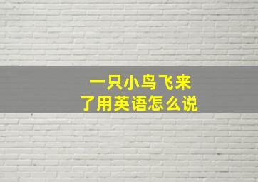 一只小鸟飞来了用英语怎么说