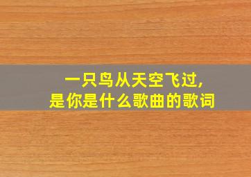 一只鸟从天空飞过,是你是什么歌曲的歌词