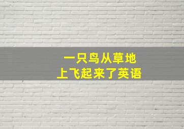 一只鸟从草地上飞起来了英语