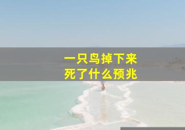 一只鸟掉下来死了什么预兆