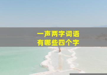 一声两字词语有哪些四个字