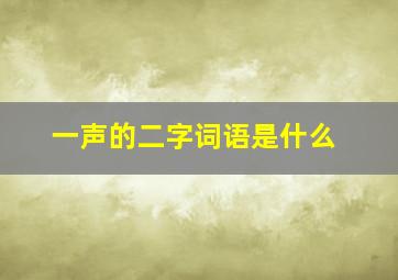 一声的二字词语是什么