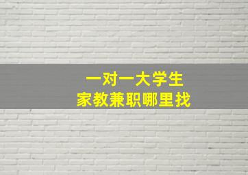 一对一大学生家教兼职哪里找