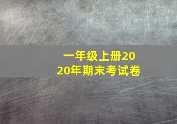 一年级上册2020年期末考试卷