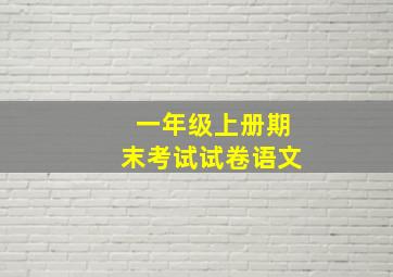 一年级上册期末考试试卷语文