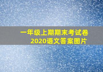 一年级上期期末考试卷2020语文答案图片