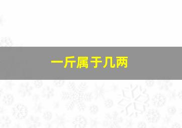 一斤属于几两