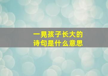 一晃孩子长大的诗句是什么意思