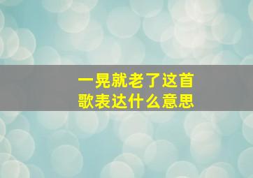 一晃就老了这首歌表达什么意思