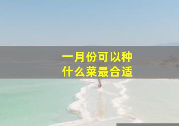 一月份可以种什么菜最合适