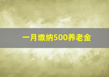 一月缴纳500养老金