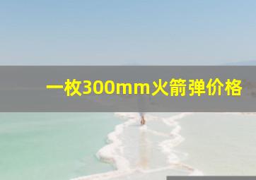 一枚300mm火箭弹价格