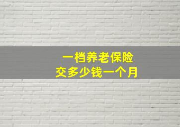 一档养老保险交多少钱一个月