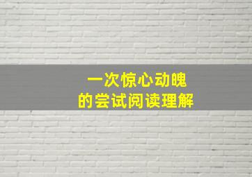 一次惊心动魄的尝试阅读理解