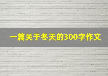 一篇关于冬天的300字作文