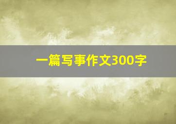 一篇写事作文300字